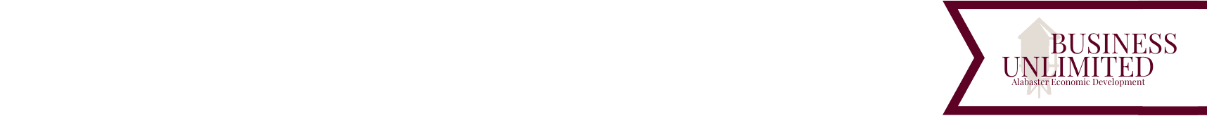 Business Unlimited Banner (3)