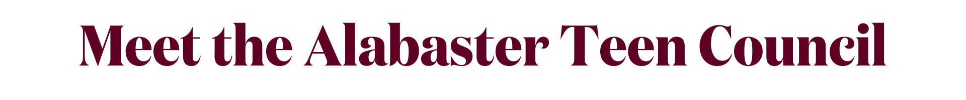 Meet the Teen Council