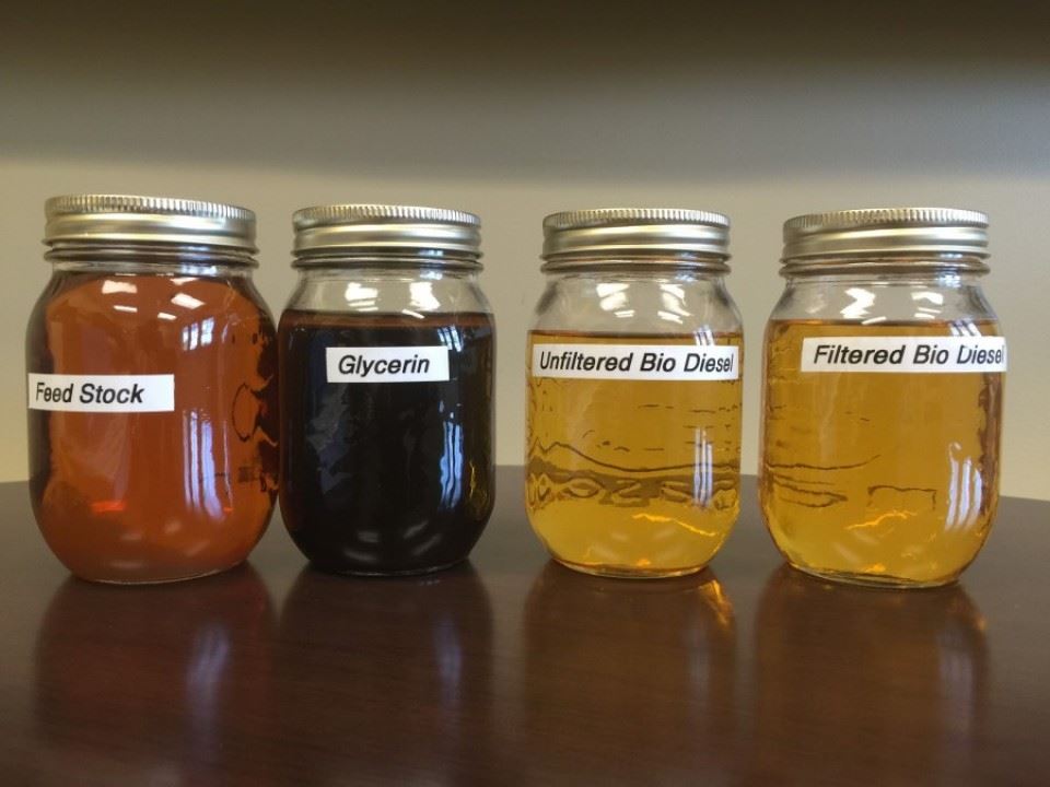 Four jars holding received grease, separated glycerin, unfiltered bio-diesel, and filtered bio-diesel